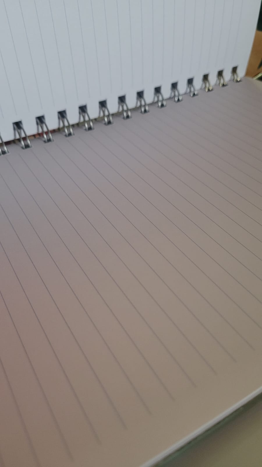 Ridiculously Good Ideas: Lined Journal/Notebook For Brilliant Thoughts And Ridiculously Good Ideas | Funny Gift