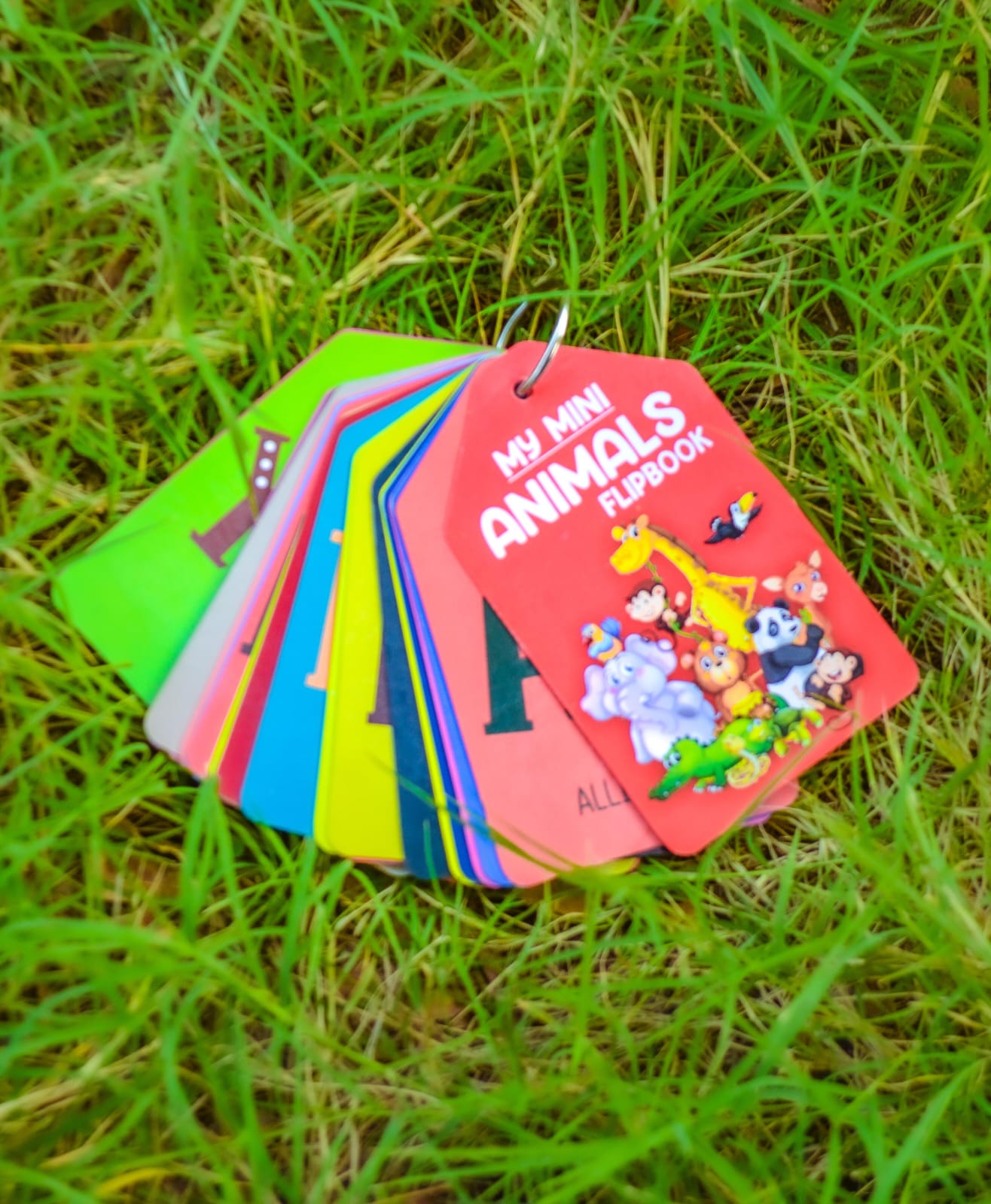 My Mini Animal Learning Flipbook | educational Cards for Kids Pre Elementory |  Baby Learning Toys Kids Gift Pre-kindergarten